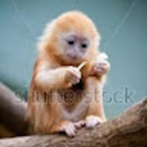 Meet your Posher, Aubree